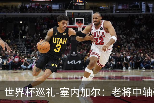 世界杯巡礼-塞内加尔：老将中轴带来安全感，非洲顶流前景可期！