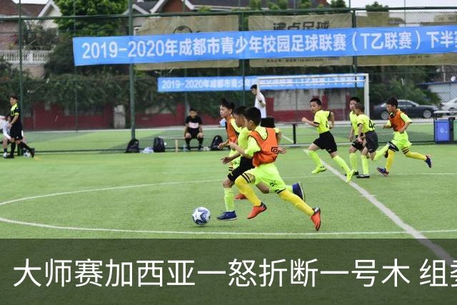 大师赛加西亚一怒折断一号木 组委会首次发出警告